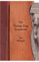Vintage Dog Scrapbook - The Whippet