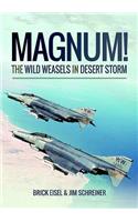 Magnum! The Wild Weasels in Desert Storm