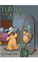 Turtles in the Attic