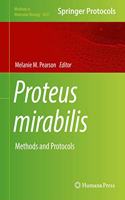 Proteus Mirabilis