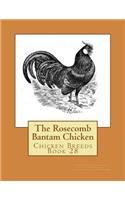 Rosecomb Bantam Chicken