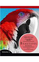 Beautiful Birds Volume 2: Grayscale coloring books for adults Relaxation (Adult Coloring Books Series, grayscale fantasy coloring books)(Beautiful Birds)