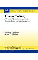 Tensor Voting: A Perceptual Organization Approach to Computer Vision and Machine Learning: A Perceptual Organization Approach to Computer Vision And Machine Learning