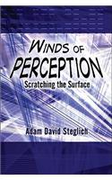 Winds of Perception: Scratching the Surface(English)