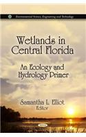 Wetlands in Central Florida