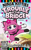 Ninja Kitties Trouble at the Bridge