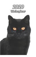 2020 Wochenplaner: Schwarze Hauskatze 107 Seiten, 15cm x 23cm ca. A5 Taschenkalender Terminplaner Tagebuch Terminkalender Organizer für Katzenliebhaber