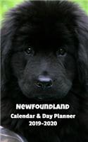 Newfoundland Calendar & Day Planner 2019-2020
