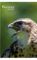 Falconer Diary