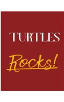 Turtles Rocks!