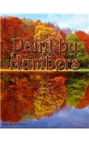 Paint by Numbers Log Book Vol. 3: 8.5x11 100-Page Guided Prompt Project Tracker(3 Paint by Numbers Log Book)