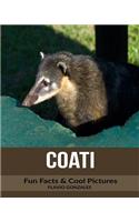Coati: Fun Facts & Cool Pictures