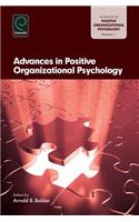 Advances in Positive Organization