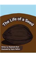 Life of a Seed