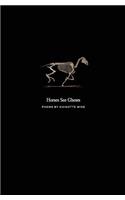 Horses See Ghosts