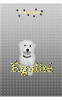Égalité