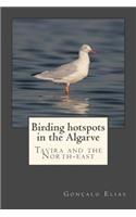 Birding Hotspots in the Algarve