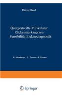 Quergestreifte Muskulatur - Rückenmarksnerven - Sensibilität Elektrodiagnostik