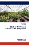 Studies On Mikania Scandens