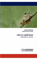 Life in Cold Lane