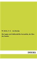 Lupine als Feldfrucht/Die Serradella, der Klee des Sandes