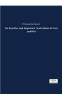 Die Reptilien und Amphibien Deutschlands in Wort und Bild