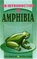 An Introduction To Amphibia