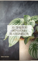 30 Tips for Peperomia Watermelon