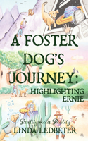 Foster Dog's Journey