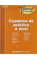 Tesoros de Lectura, a Spanish Reading/Language Arts Program, Grade 3, Practice Book, Student Edition