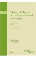 Advances in Polymer Derived Ceramics and Composites