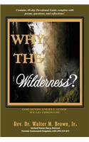Why the Wilderness?