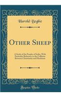 Other Sheep: A Study of the Peoples of India, With Particular Reference to the Collision Between Christianity and Hinduism (Classic Reprint)