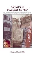 What's A Peasant To Do? Village Becoming Town In Southern China