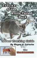 Tracks of the White-Tailed Buck