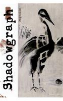 Shadowgraph One