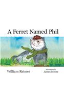 Ferret Named Phil