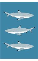 Notes: A Blank Lined Journal with Black Tipped Reef Shark Cover Art