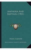Amphibia And Reptiles (1901)