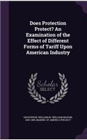 Does Protection Protect? an Examination of the Effect of Different Forms of Tariff Upon American Industry