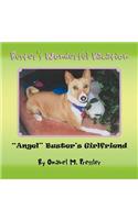 Buster's Wonderful Vacation