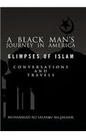 Black Man's Journey in America