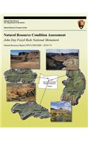 John Day Fossil Beds National Monument: Natural Resource Condition Assessment(English)
