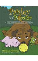 'Paisley is a Pupstar'