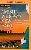 Amish Widow's New Hope