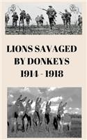 Lions Savaged by Donkeys