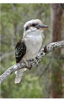 Kookaburra Kingfisher Bird on a Tree Branch Australia Journal: 150 Page Lined Notebook/Diary