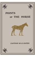 Points of the Horse