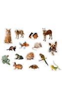 Pets: Photographic Shape Stickers: (English)