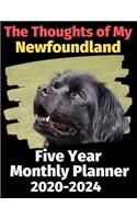 The Thoughts of My Newfoundland